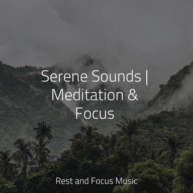 Peaceful Instrumental