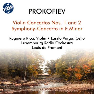 Violin Concerto No. 1 in D Major, Op. 19: III. Moderato