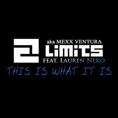 This Is What It Is - Ivan Fillini Remix
