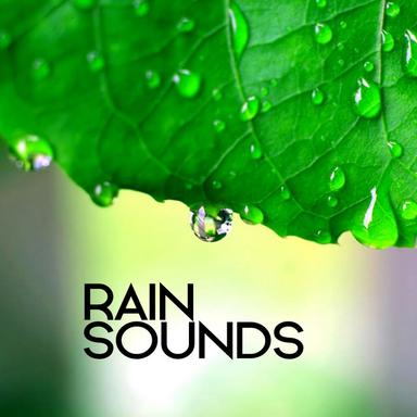 Relaxing Gentle Rain