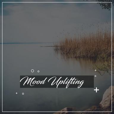 Alpha Wave Focus