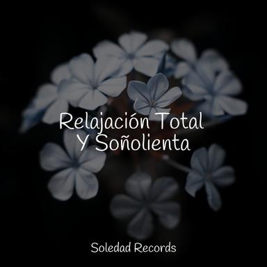 Sueños Lúcidos