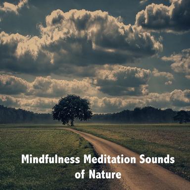 Light Relaxation