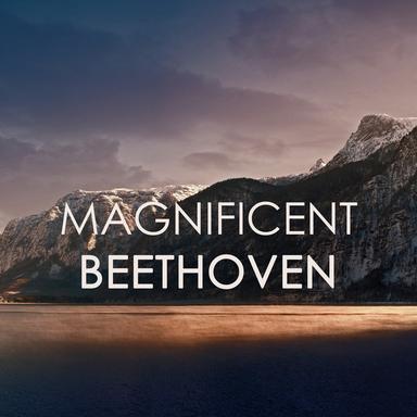 Piano Sonata No. 12 In A Flat, Op. 26: 4. Allegro
