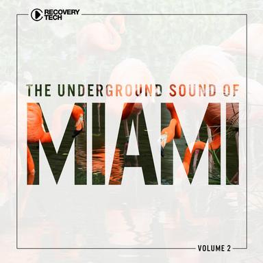 Snapshot - Original Mix