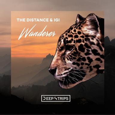 Wanderer