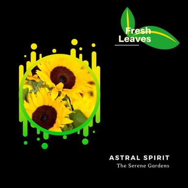 The Serene Gardens - Original Mix