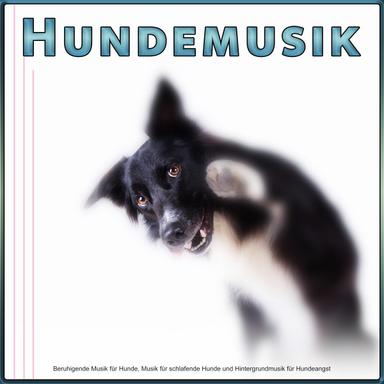 Klaviermusik für Hunde