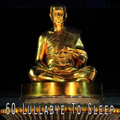 Embracing The Zen