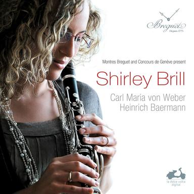 Quintet for Clarinet and Strings in E-Flat Major, Op. 23: I. Allegro non troppo