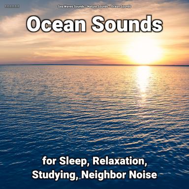 Sound of the Sea to Calm Down
