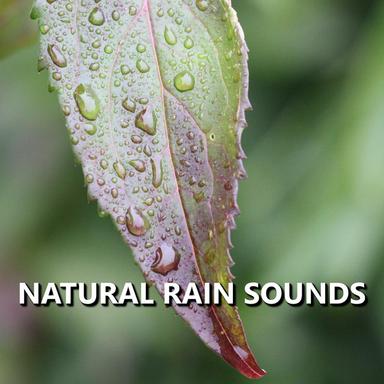 Cold Stormy Rain Sounds