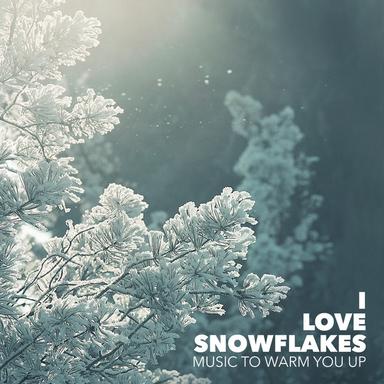 I Love Snowflakes