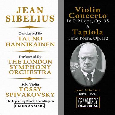 Violin Concerto In D Minor, Op. 47: II. Adagio di molto