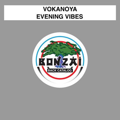 Evening Vibes - Original Mix