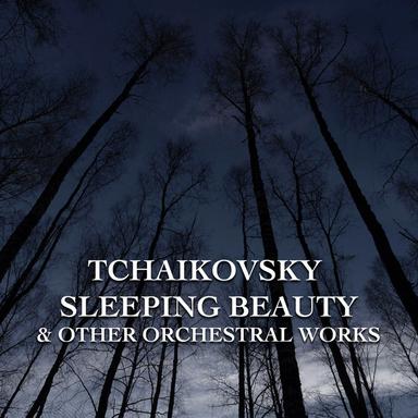 Marche slave, Op. 31, TH 45