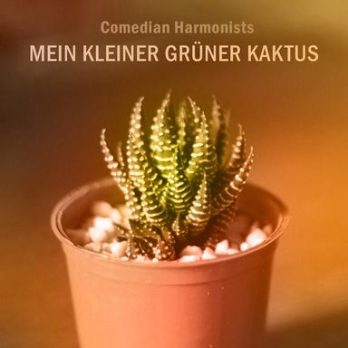 Ein neuer Frühling