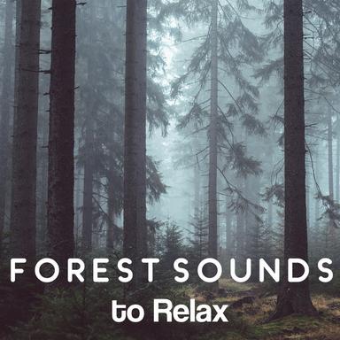 Natural Ambience