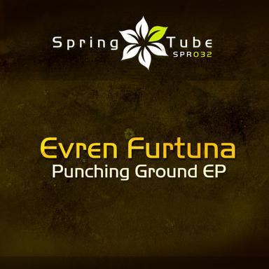 Come Back To The Ground - Original Mix