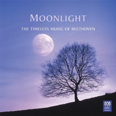 Violin Concerto in D Major, Op. 61: II. Larghetto