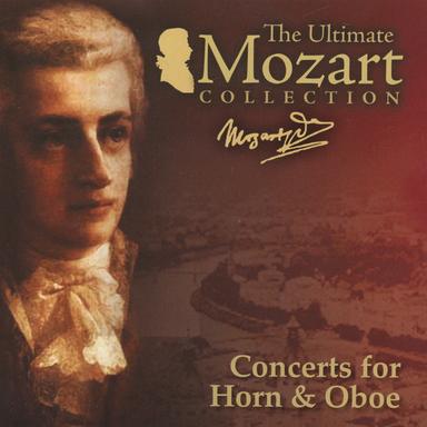 Horn Concerto No. 2 in E-Flat Major, K. 417: II. Andante