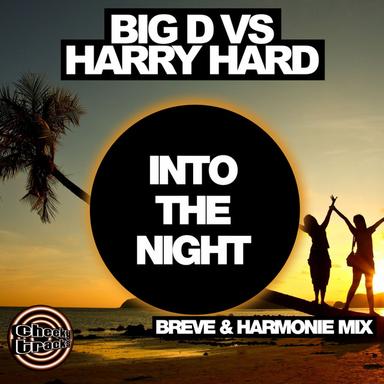 Into The Night - Breve & Harmonie Remix