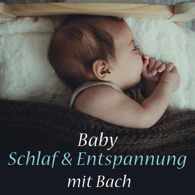 Brandenburg Concerto No. 5 in D Major, BWV 1050: II. Affettuoso