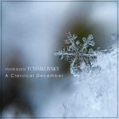 6 Romances, Op. 6, TH 93: 2. Not a Word, O My Friend. Andante ma non troppo