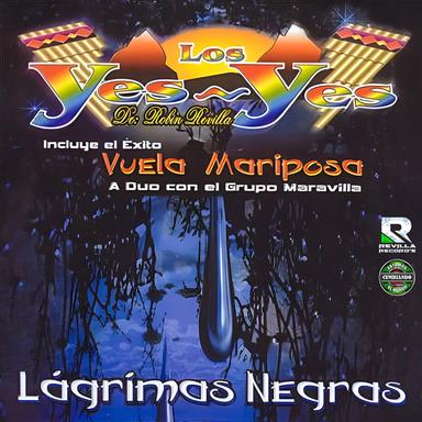 Para No Verte Mas