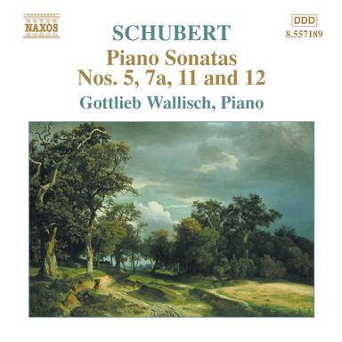 Piano Sonata No. 7a in D-Flat Major, D. 567 (incomplete): Allegro moderato