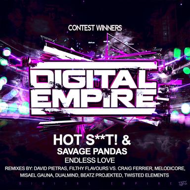 Endless Love - David Pietras Remix