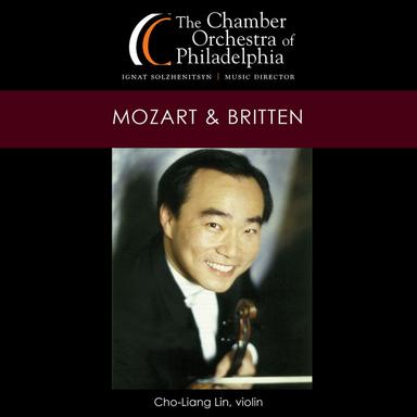 Violin Concerto No. 4 in D Major, K. 218: II. Andante cantabile