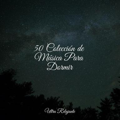 El Palacio De La Sirena