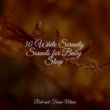 Relax Meditations