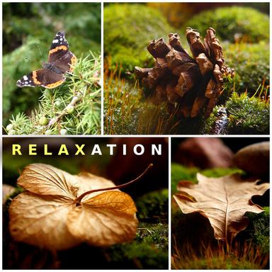Relaxation Therapy
