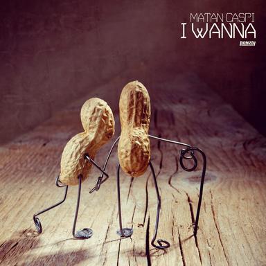 I Wanna - Crocy Remix