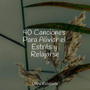 El Verdadero Ambiente