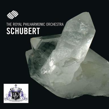 Symphony No. 5 In B Flat Major, D 485: I. Allegro