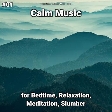 Relaxing Music Sleep Aid