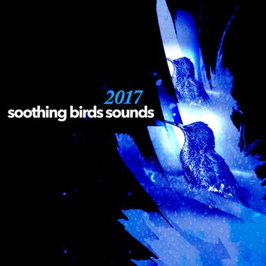 Rain Bird Loops