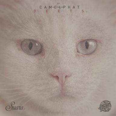 Lizard King - Original Mix