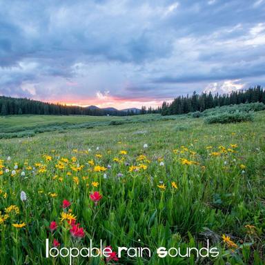 Rain Sound: White Noise