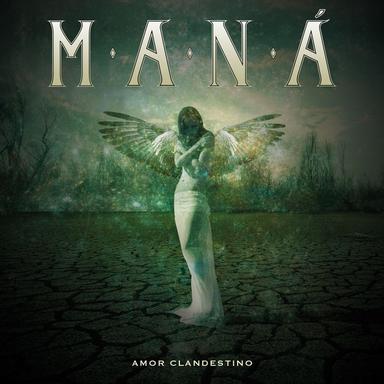 Amor clandestino
