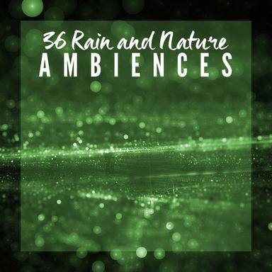 Rushing Rain