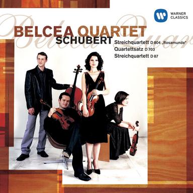 Schubert: String Quartet No. 10 in E-Flat Major, Op. Posth. 125 No. 1, D. 87: IV. Allegro