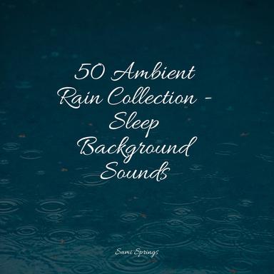 Rainforest Nature Ambience