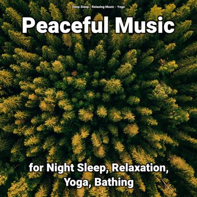 Relaxing Music for a Relaxing Atmosphere