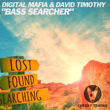 Bass Searcher - Radio Edit