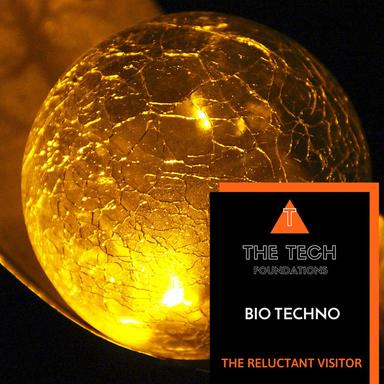 The Reluctant Visitor - Original Mix