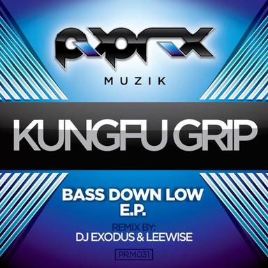 Bass Down Low - Original Mix
